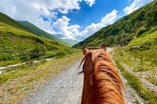 horse riding tours full day