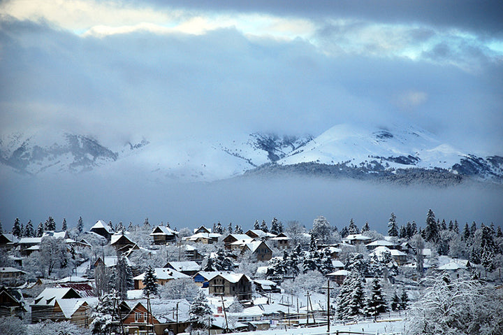 Borjomi-bakuriani Tour Package